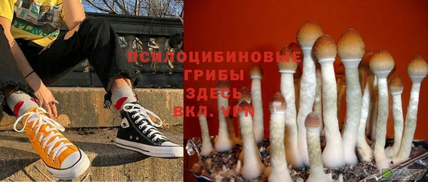 гидра Алексин