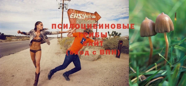 амф Абинск