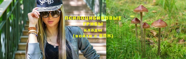 амф Абинск