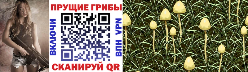 Псилоцибиновые грибы прущие грибы  наркотики  Ялта 