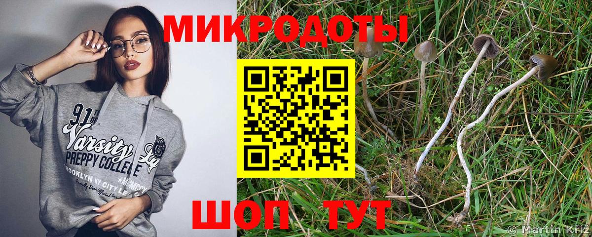 Галлюциногенные грибы GOLDEN TEACHER Ялта