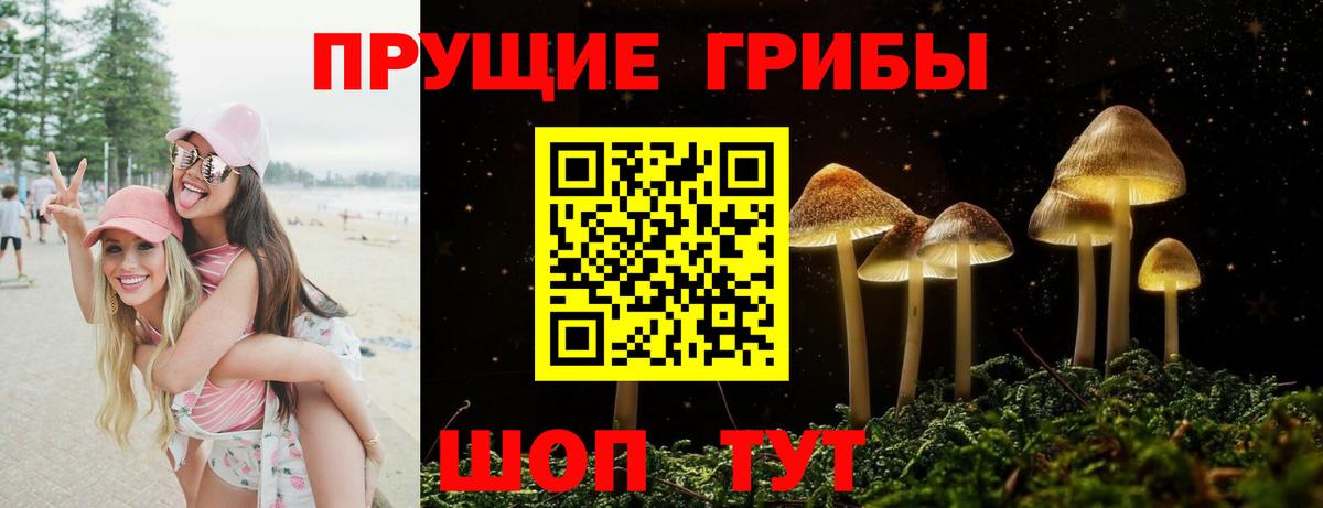 Галлюциногенные грибы Psilocybine cubensis  Вход с VPN  Ялта 